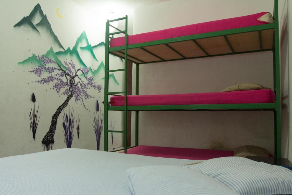 El Misti Hostel Ilha Grande Ilha Grande  Екстер'єр фото