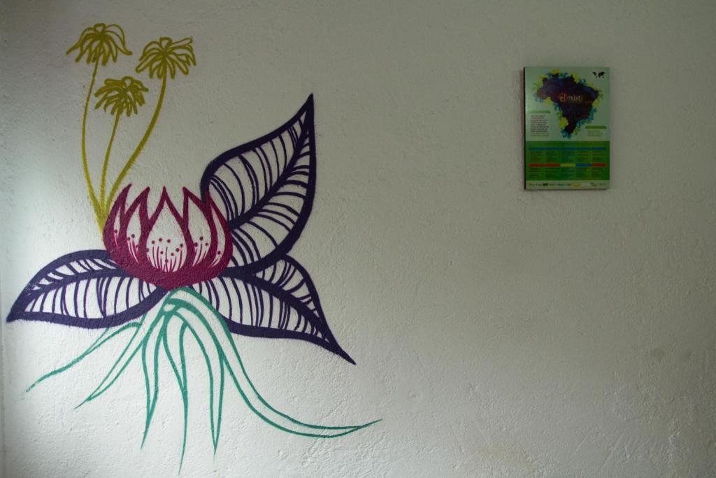El Misti Hostel Ilha Grande Ilha Grande  Екстер'єр фото